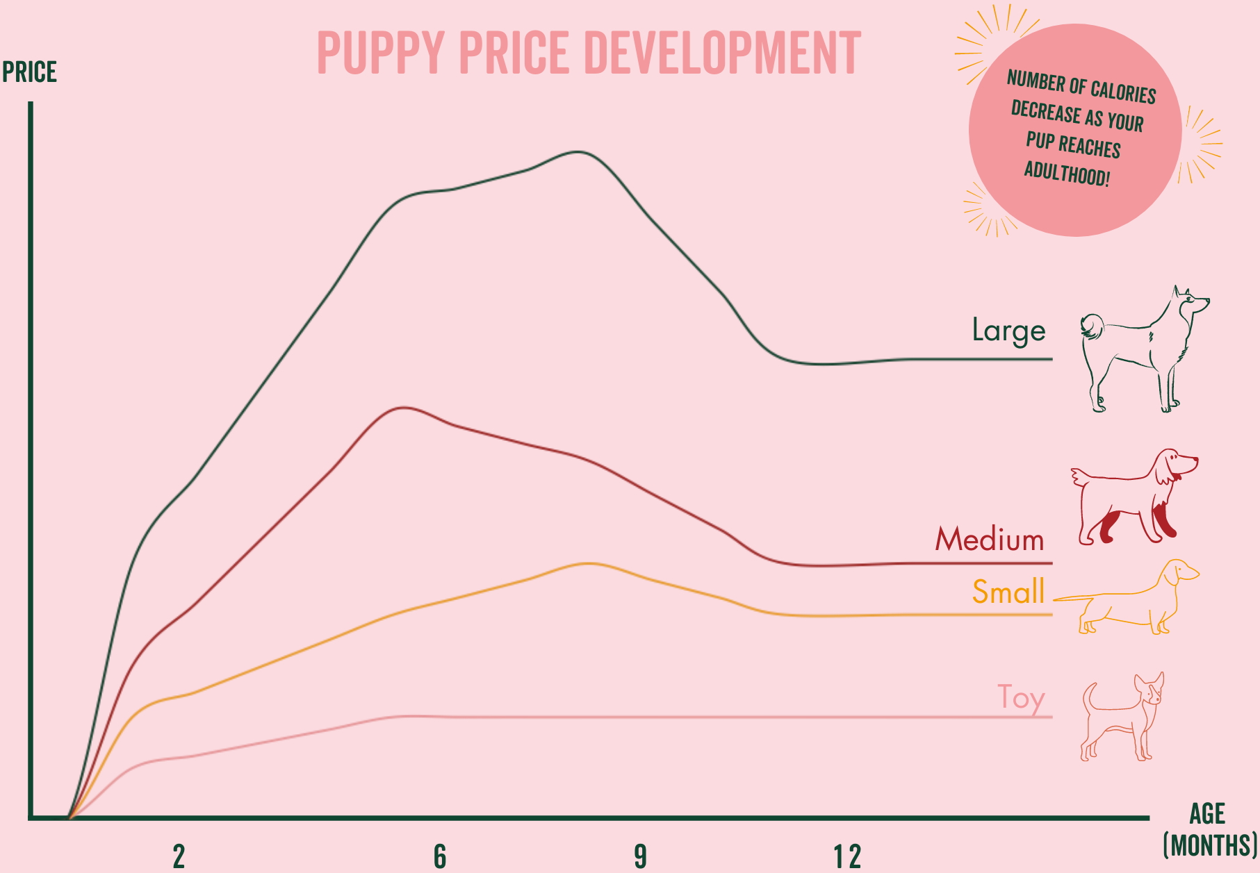 Puppy Price Development