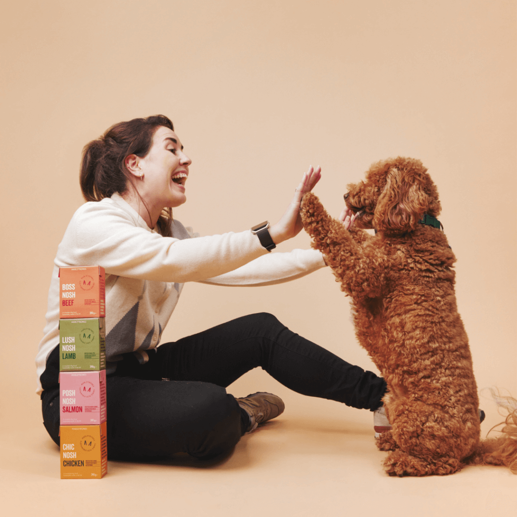 dog