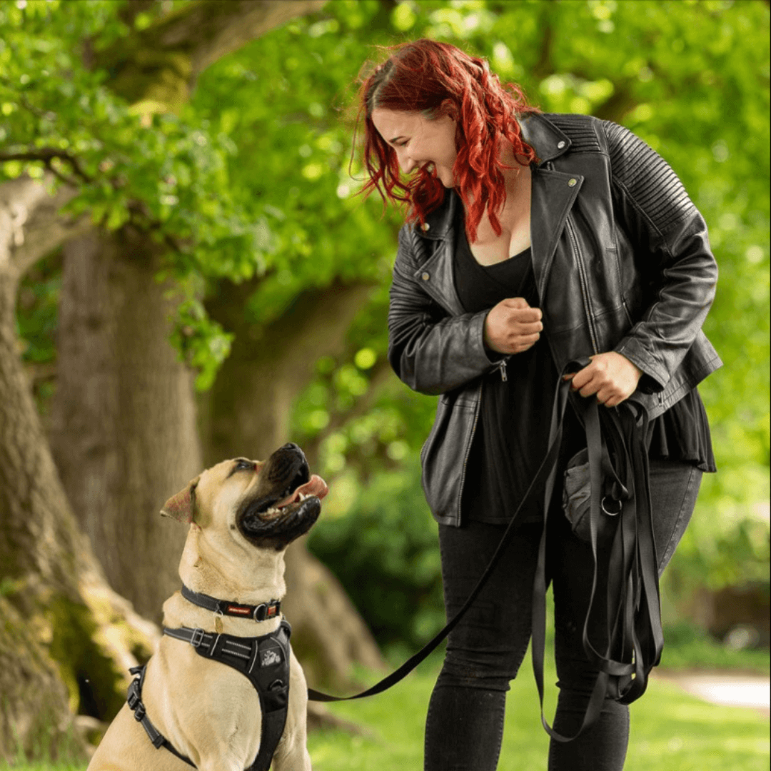 Reactivity in dogs